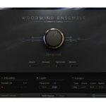 Native Instruments Symphony Series Woodwind Solo